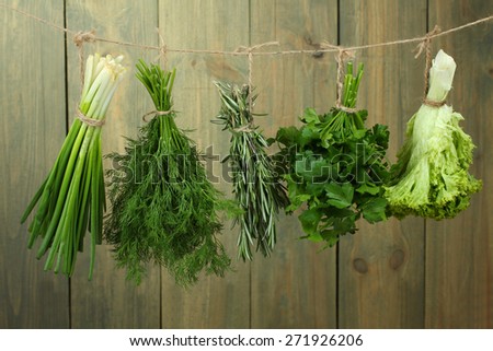 Fresh Herbs Collection is Hanging and Wooden texture / Vintage Style