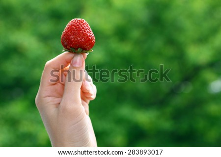 Strawberry in hand on nature background