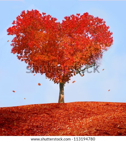Tree of love - stock photo