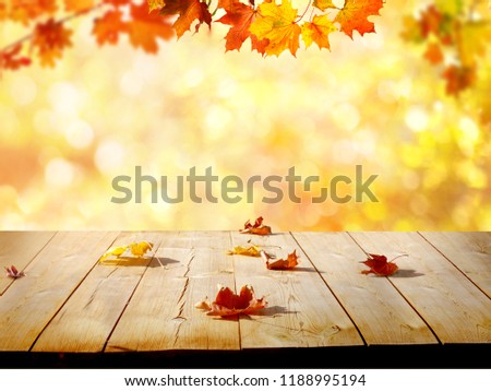 Colorful maple leaves on wooden  table.Falling leaves natural background .Autumn season concepte