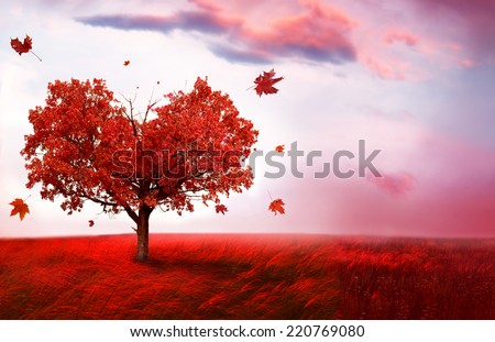 Autumn landscape with heart shape tree