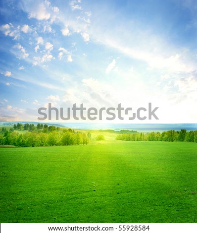 green grass and blue sunny sky