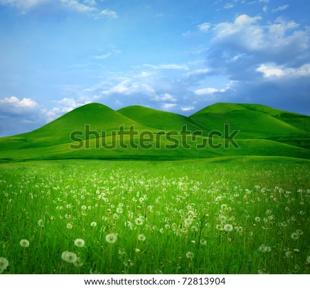 Mountain landscape with flowers field