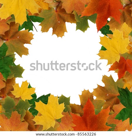 autumn frame