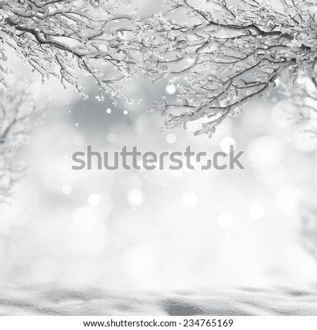 winter christmas  background