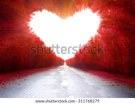 Road to love .Trees in the shape of a heart