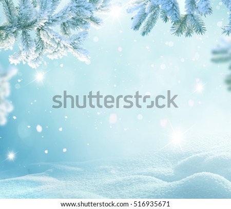Winter Christmas background with fir tree branch \
Merry Christmas and happy New Year greeting card with copy-space.Christmas background.Winter landscape with snow and fir trees