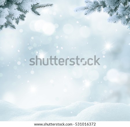 Christmas background with fir tree branch.Merry Christmas and happy New Year greeting card with copy-space.Winter landscape with snow