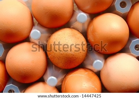 A set of brown eggs in a plastic tray