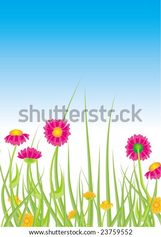 flowers spring meadow