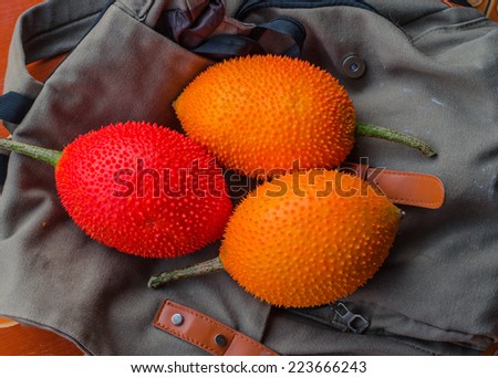 Gac fruit, Baby Jackfruit, Spiny Bitter Gourd, Sweet Grourd or Cochinchin Gourd isolated on white background