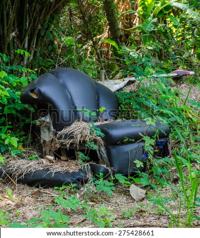 old sofa in a dirty forest