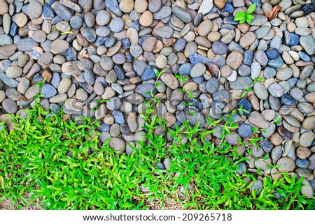 Through granite stones boulders the green grass simply grows. Force of nature concept