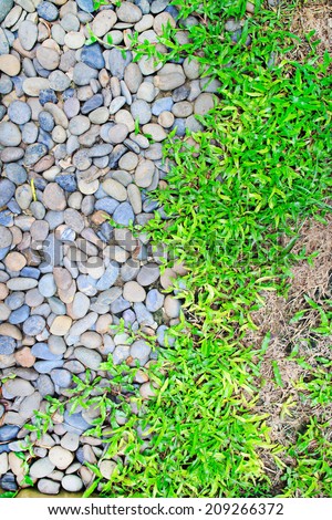 Through granite stones boulders the green grass simply grows. Force of nature concept