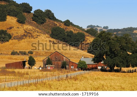 A Summer Farm