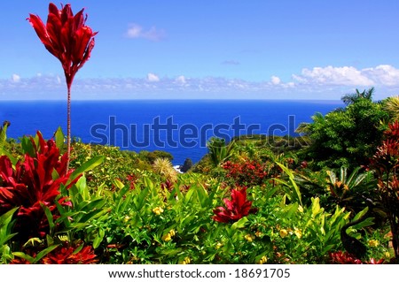 Garden Of Eden, Maui Hawaii