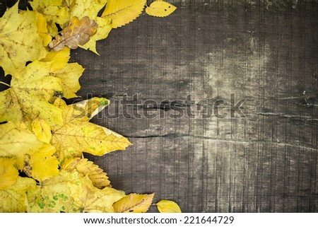Yellow leaves on wooden background, frame