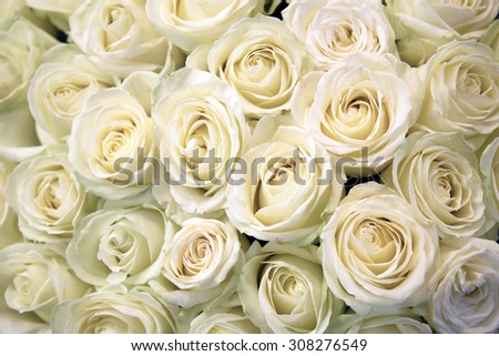 White roses. Floral Texture and background. Flowers closeup. Wedding and wedding accessory. The rose petals. A large bouquet.