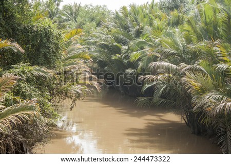 Wild green jungle and brown water at mekong river