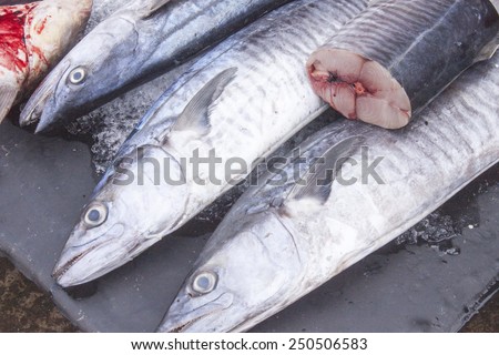 Whole fish and a cut, at a market