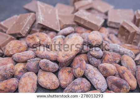 Cocoa raw chocolate beans, in front of brown chocolate