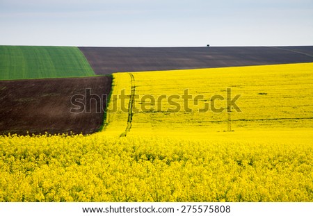 Agricultural land for plowing canola, wheat, corn and sunflower against the blue sky