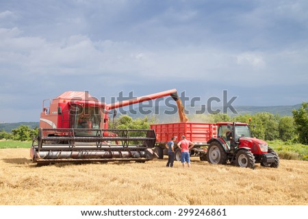 Gorna Oryahovitsa - July 3: Harvest of wheat. Harvester trailer filled with grain. Farmers harvest discuss the background of dramatic sky. On July 3, 2015, Gorna Oryahovitsa, Bulgaria