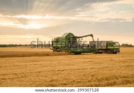 Gorna Oryahovitsa - June 20: Harvesting of grains. Harvester full body truck grain amid strong dramatic sky with the sun on June 20, 2015, Gorna Oryahovitsa, Bulgaria