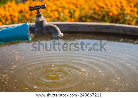 brass faucet in cement pool for agriculture.