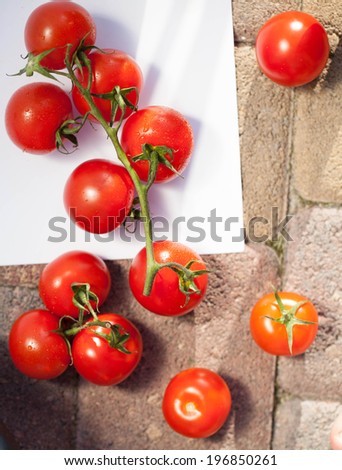 Tomatoes, cooked with herbs for the preservation
