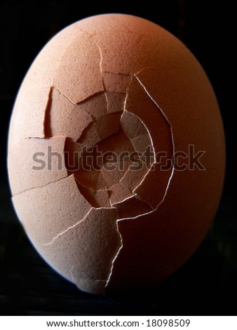 a broken egg close up