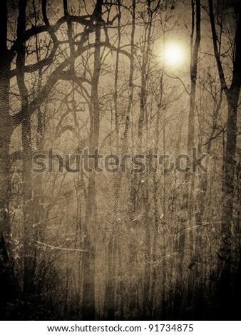 scary forest in the night with moonlight illustration