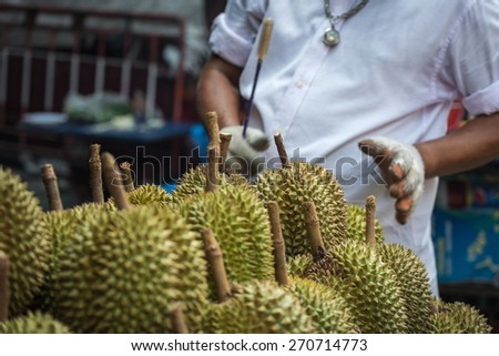 Merchant is evaluating the condition of the durians by using a wooden stick to knock on the durians peel.