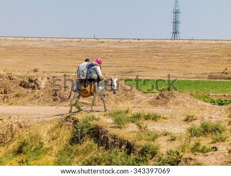 Two shepherds ride a white donkey in Iraqi desert