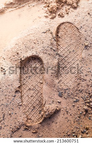 Footprint on mud ,mold