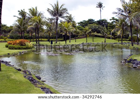 Indonesia, Bali Island, Nusa Dua holiday resort. Beautiful grove with palm trees and pond.
