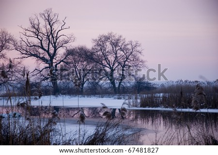 Winter landscape in Poland. Meadows and trees covered with snow, just before sunset.