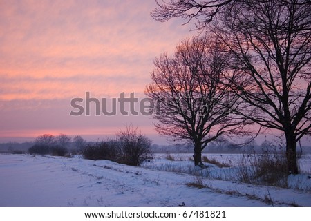 Winter landscape in Poland. Meadows and trees covered with snow, just before sunset.