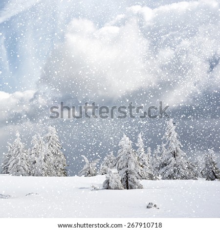 winter background with spruce tree and cottage covered by snow