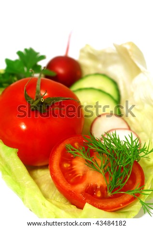 Fresh salad ingredients closeup and isolated on white