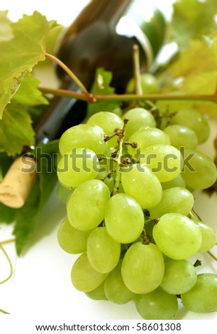 fresh grapes, vine and vine bottle isolated on white