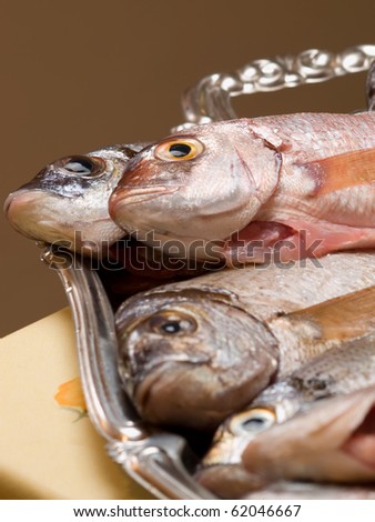 fresh and cleaned sea fish on the plate, for seafood,fishing or  healthy eating themes