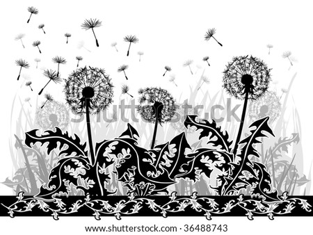 stock photo Drawing of dandelions in black and white