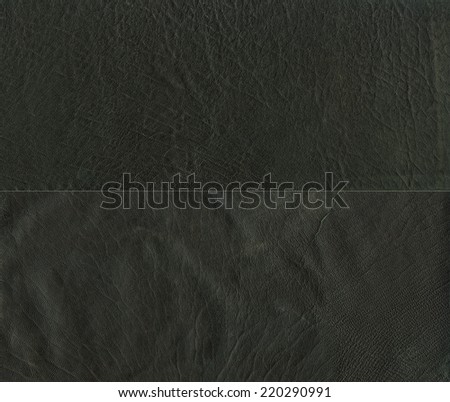 Set of two types of black leather texture