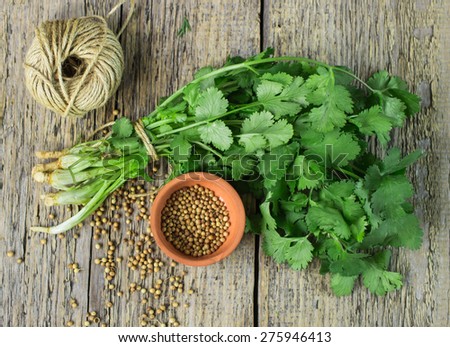 Bunch fresh cilantro, and coriander seeds on a wooden table