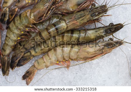 Tiger prawns. Raw tiger shrimp on ice at the  seafood  market. Selective focus