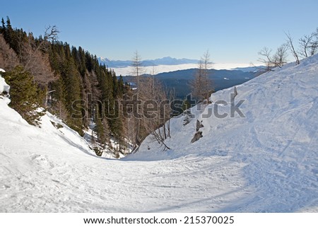Beautiful scene in Alpine region. Winter landscape in the background and nice freeride ski slope.
