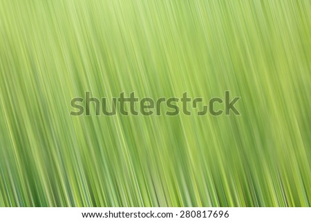 Blurred wheat plants form extraordinary organic background texture for your projects.