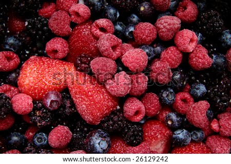 wild berries home made berry desert healthy eating