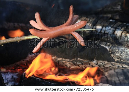 Hotdog roasted over outside fire